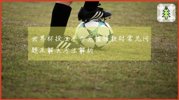 世界杯投注平台充值提款时常见问题及解决方法解析