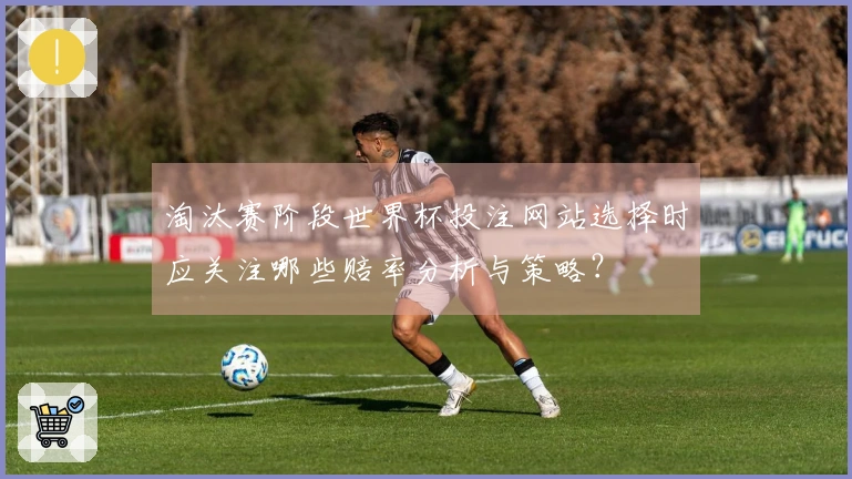淘汰赛阶段世界杯投注网站选择时应关注哪些赔率分析与策略？