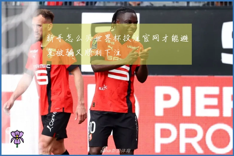 新手怎么买世界杯投注官网才能避免被骗又顺利下注